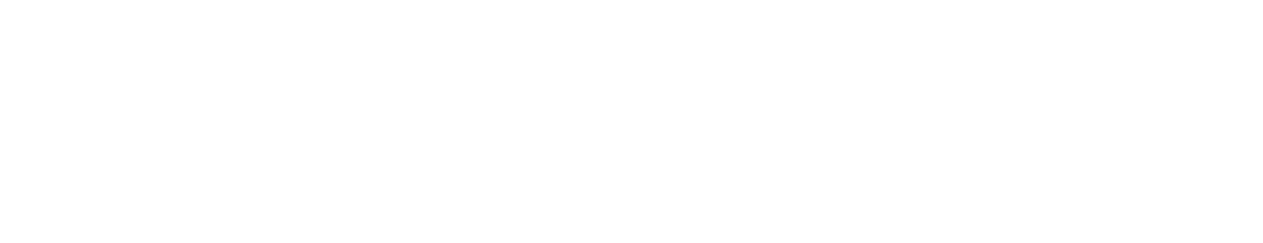 Villa Nolandia logo